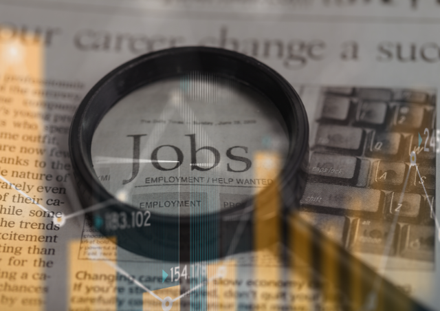 Kondycja rynku pracy w IT w Polsce (dane do 04.2025).